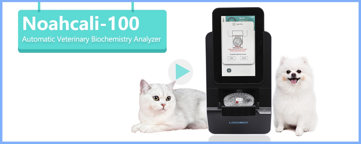 Analisador químico de sangue veterinário portátil Noahcali-100