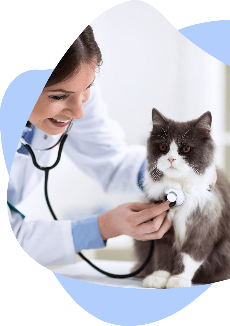 Diagnóstico veterinário